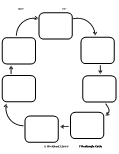 Cycle Graphic Organizer Worksheets